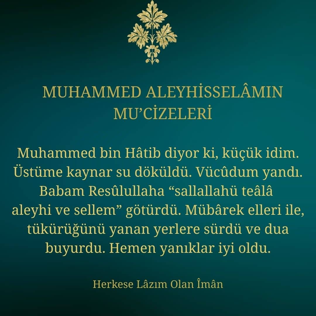 Mucizeleri (13)